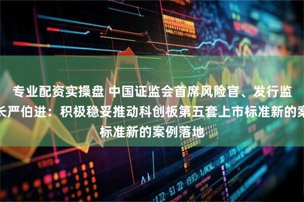 专业配资实操盘 中国证监会首席风险官、发行监管司司长严伯进：积极稳妥推动科创板第五套上市标准新的案例落地
